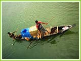 Brahmaputra River