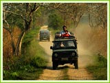 Jeep Safari