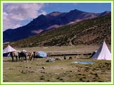 Nyimaling Camp