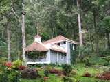 The Tall Trees Hotel