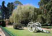Botanical Garden In Ooty, Tamilnadu
