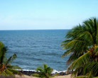 Auroville Beach