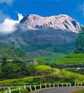 Honeymoon in Kerala