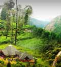Kerala Hill Station