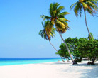 Marari Beach