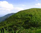 Ponmudi Hillstation, Kerala