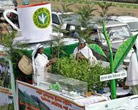 Tea and Tourism Festival in Tamilnadu